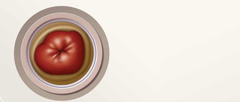 a red and white circle with a white circle in the middle