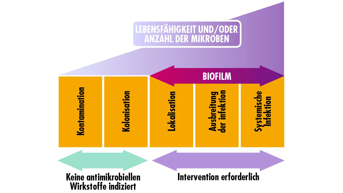 Grafik, die die Anzahl der Mikroben und den Zeitpunkt der Intervention darstellt. 