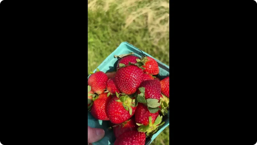 Uma miniatura de vídeo sobre a rotina de cuidados com a pele periestomal de Meghan nos meses úmidos de verão.