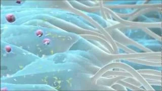 Nahaufnahme einer Welle