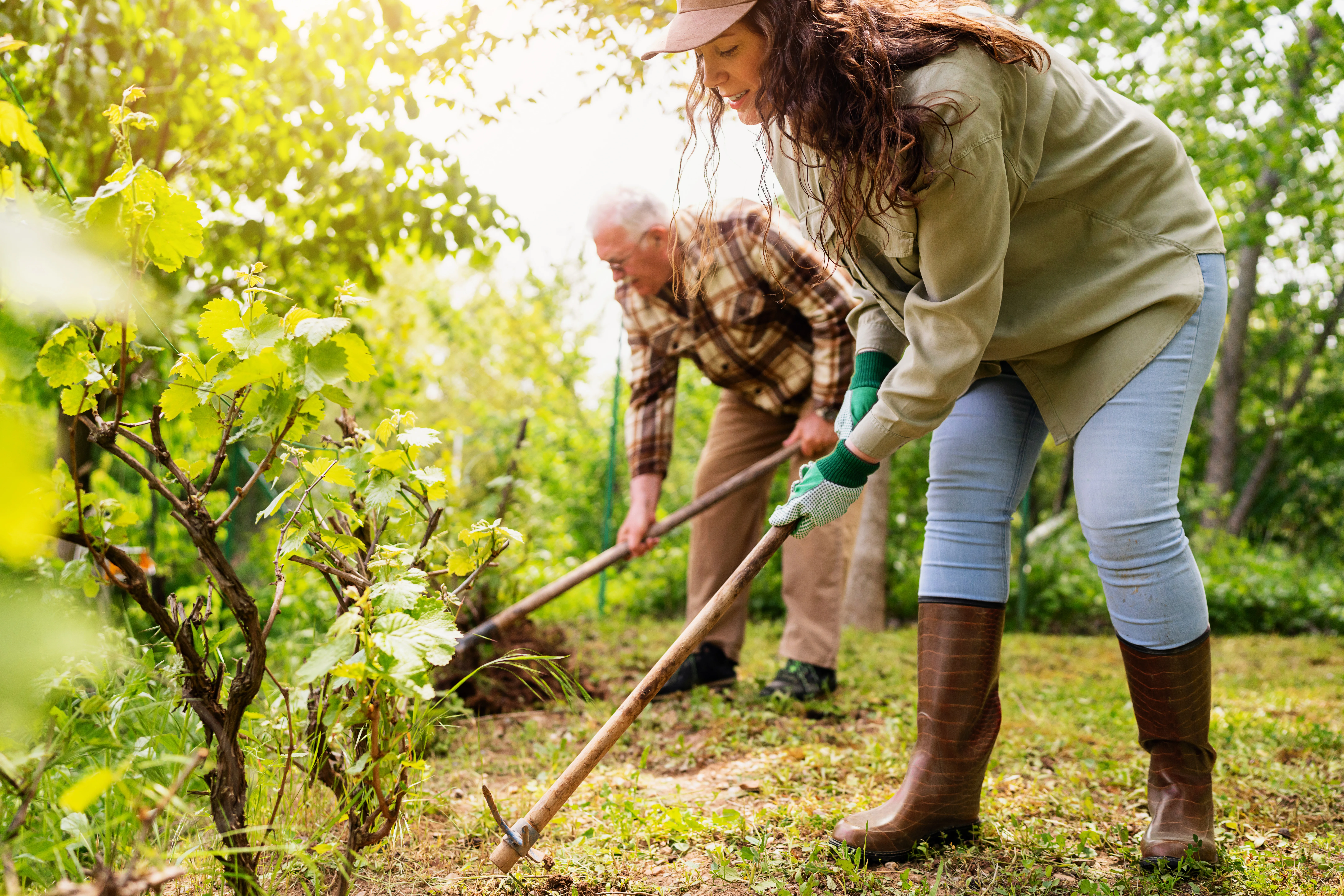 Une femme et un homme jardinant